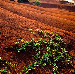光荣特库摩对《浪人崛起》寄予厚望 目标销量500万